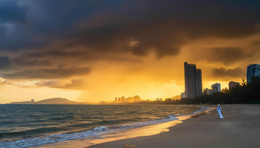 VN 29 Da Nang